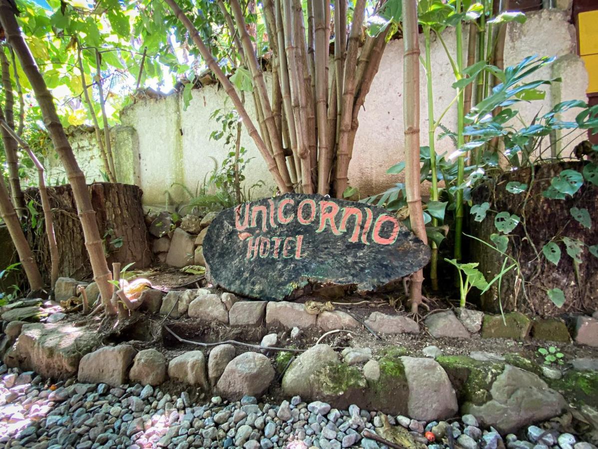 Unicorn Reborn - Peaceful Rentals サン・マルコス・ラ・ラグナ エクステリア 写真